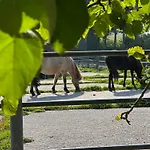 Vakantiehuis Gandur