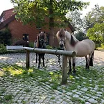 Vakantiehuis Gandur Osterby (Rendsburg-Eckernforde)