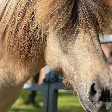 Ferienhaus Gandur Osterby (Rendsburg-Eckernforde)