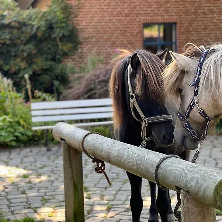 Gandur Ferienhaus Osterby (Rendsburg-Eckernforde)
