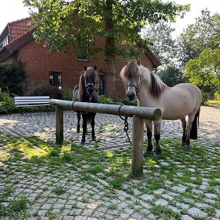 Nyaraló Gandur Osterby